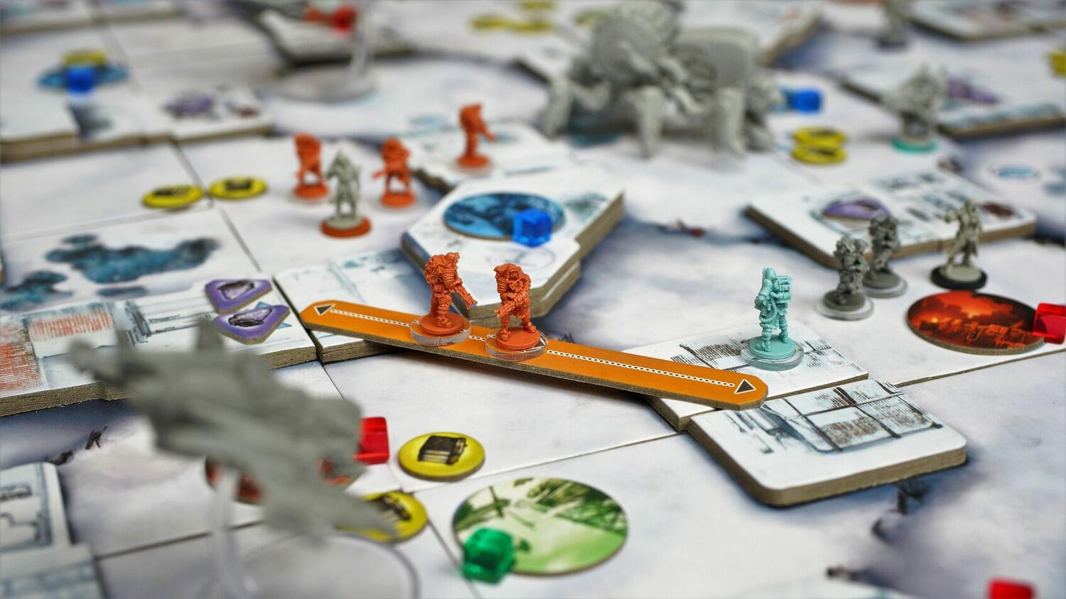 DEI: Divide et Impera Zoom