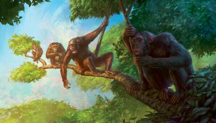 Le Seigneur des Anneaux: Le Jeu de Cartes - Les Mûmakil Artwork