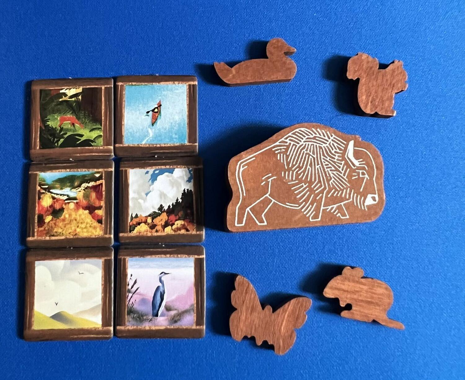 PARKS: Wildlife Eclate