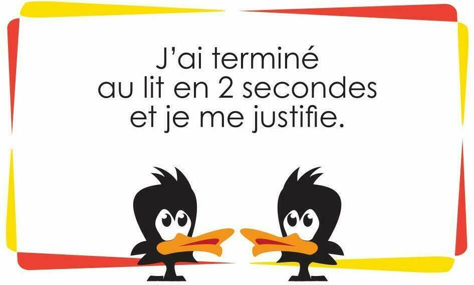 3 Oeufs sur la Tête d’Un Canard Carte