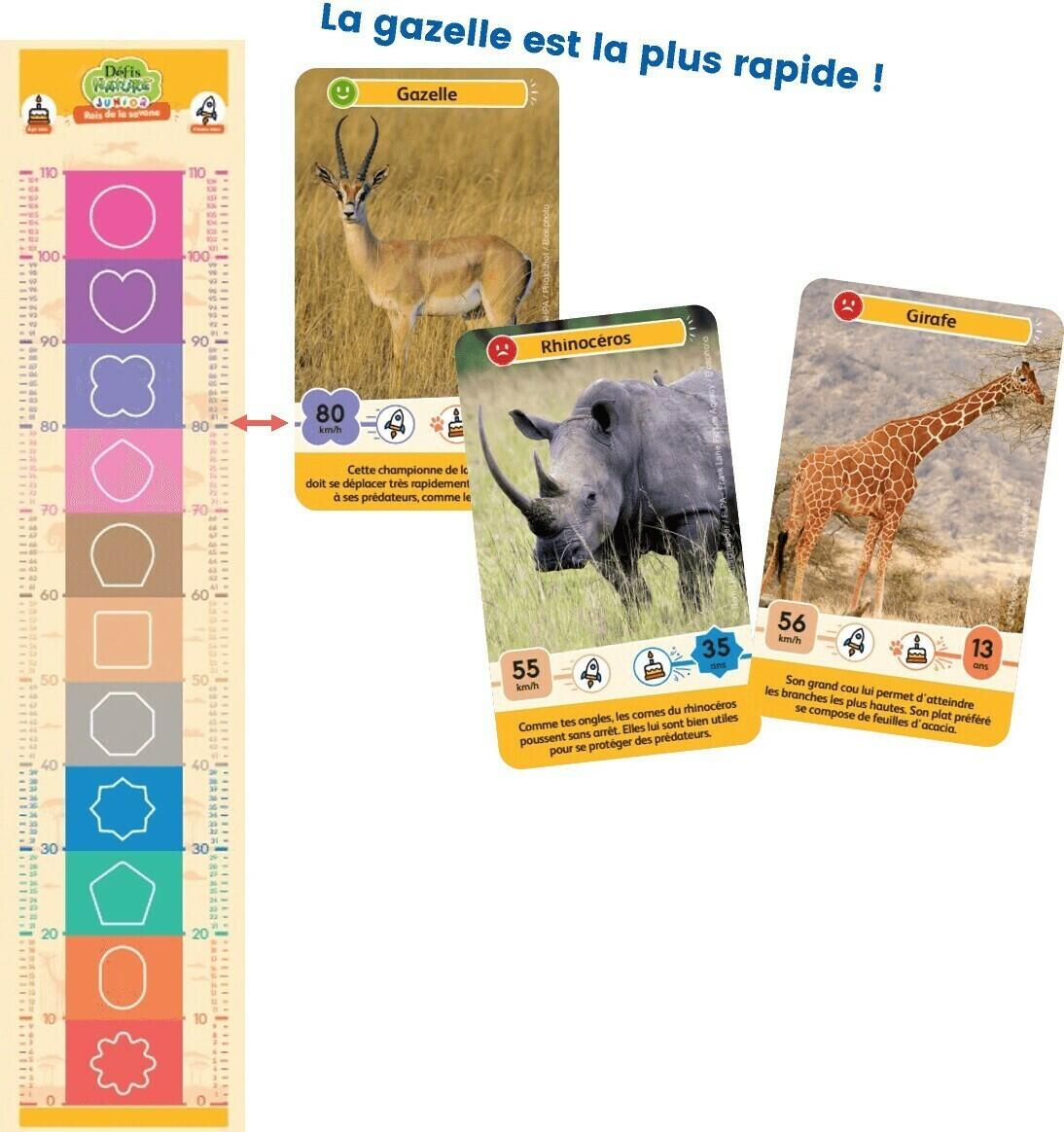 Défis Nature: Junior - Rois de la Savane Eclate