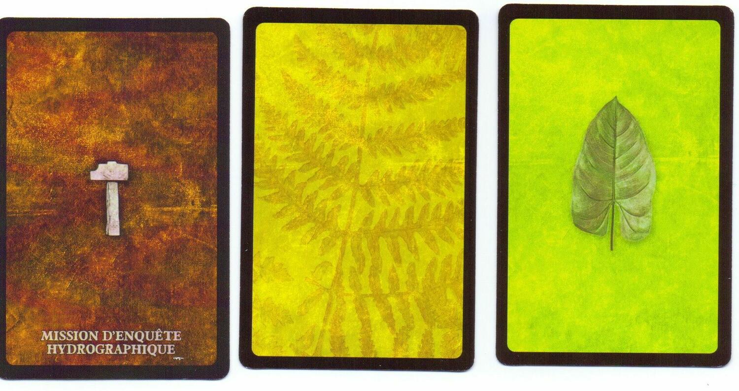 Robinson Crusoé: Aventures sur l'Île Maudite - Le Voyage du Beagle Cartes