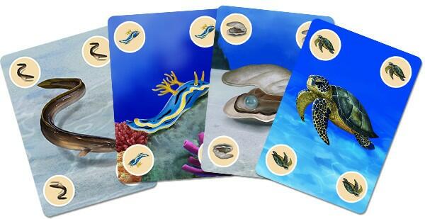 Mini DiverCity Cartes