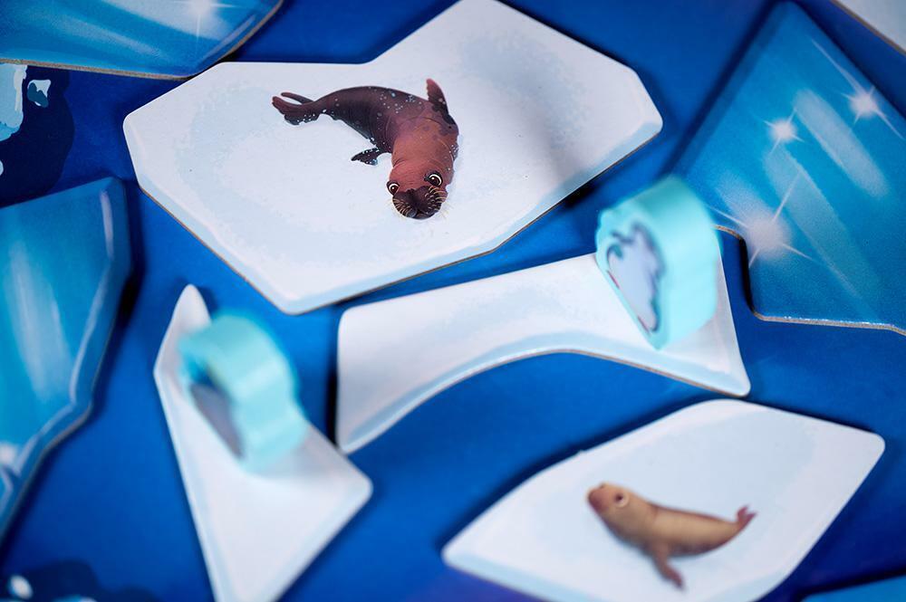 Glisse Banquise Zoom