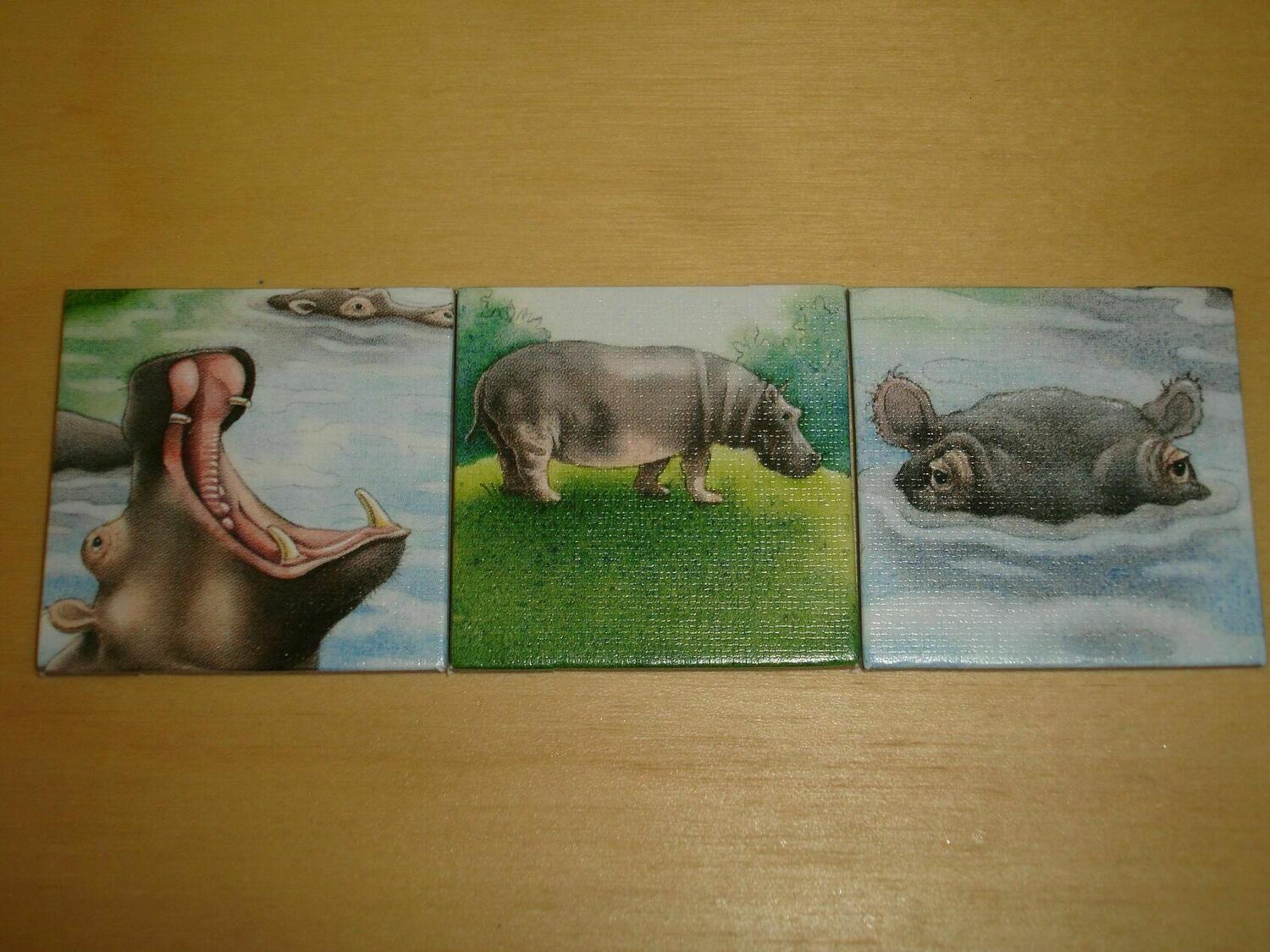 Charly im Zoo Tuiles