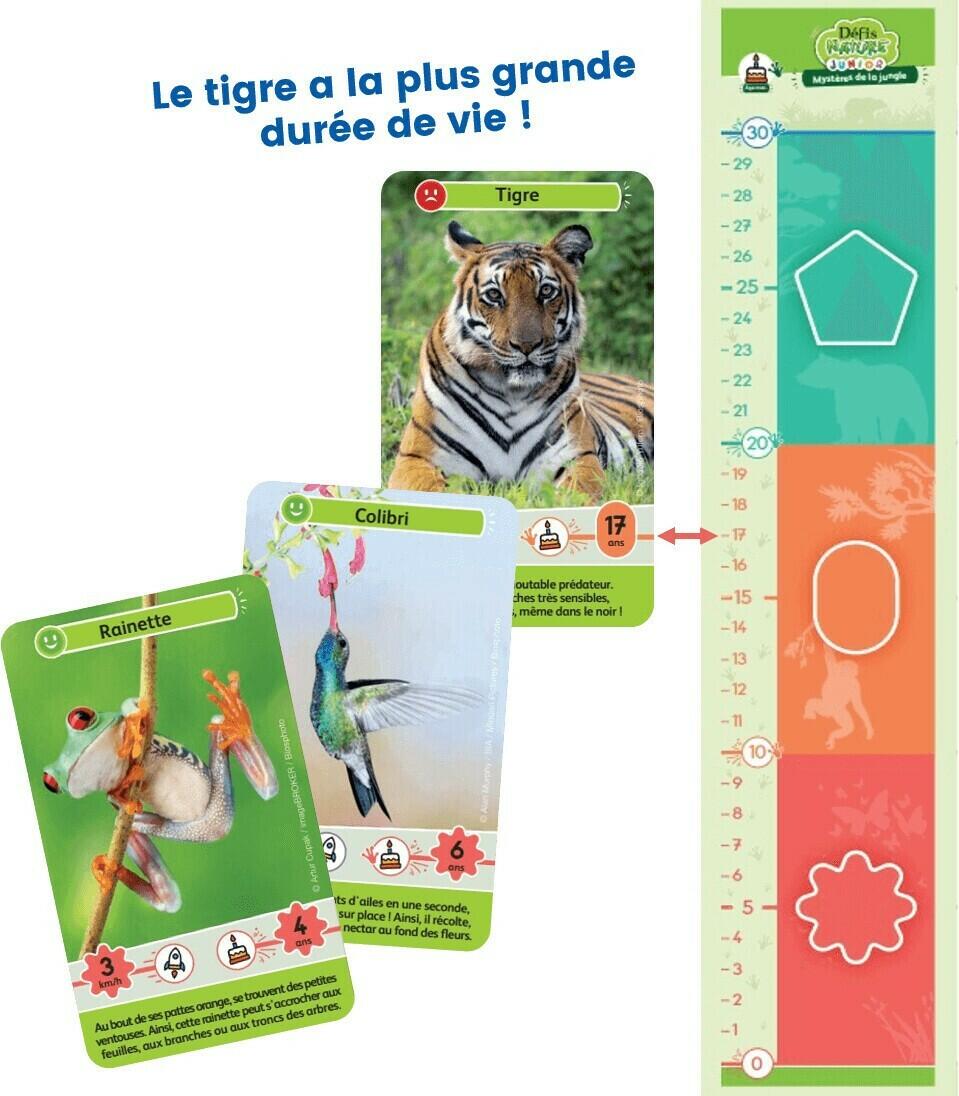 Défis Nature: Junior - Mystères de la Jungle Eclate