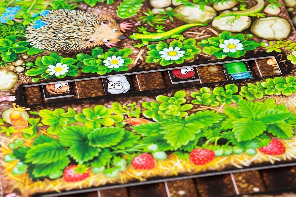 Le Rallye des Vers de Terre Zoom