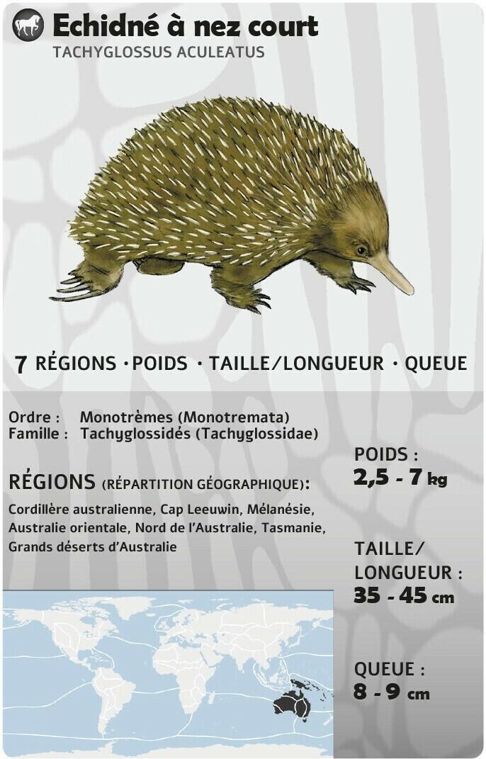 Fauna 2022 Carte