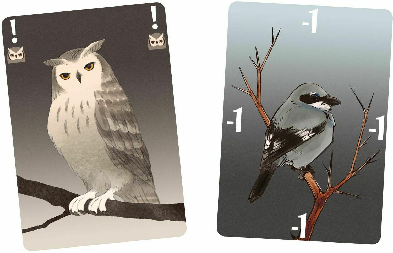 Songbirds Cartes