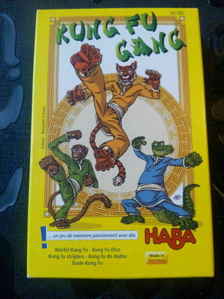 Kung Fu Gang Cover 3d