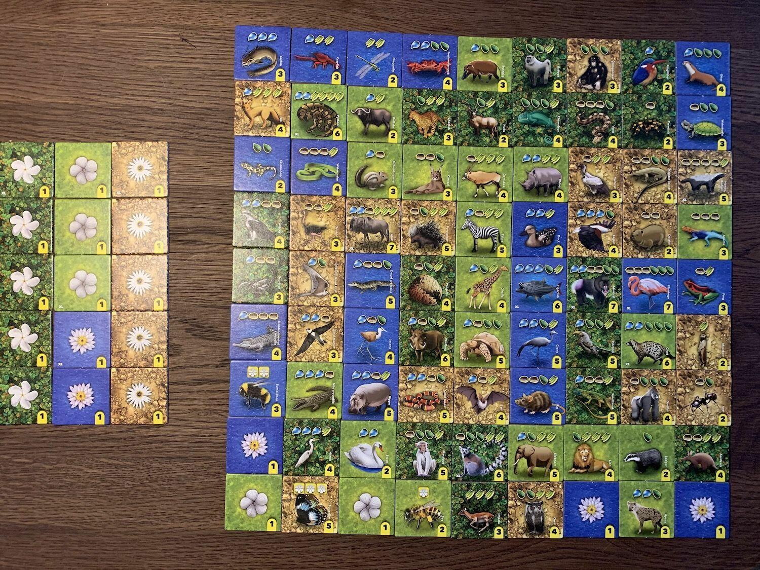 Habitats: XL Expansion Eclate