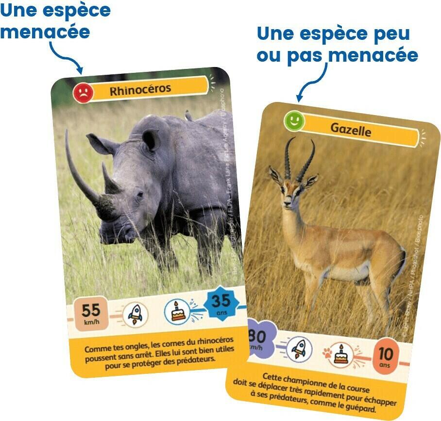 Défis Nature: Junior - Rois de la Savane Cartes