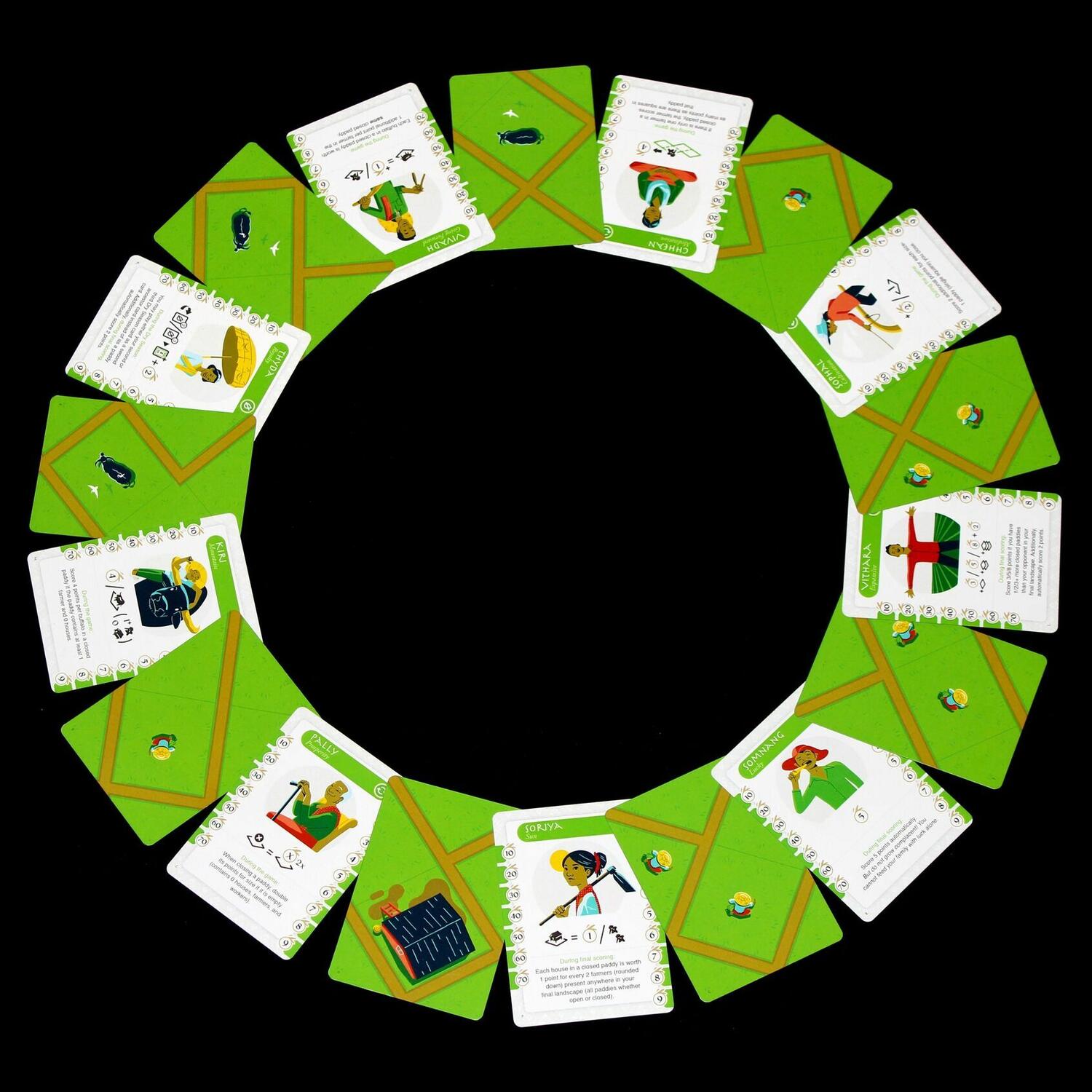 Rizières du Cambodge Eclate