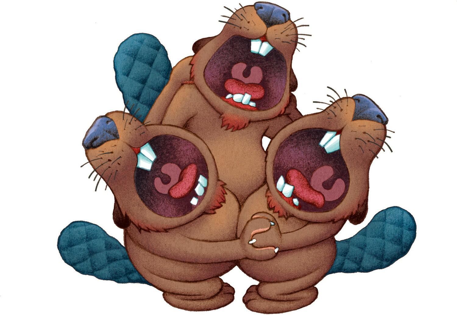 Yum Yum Island Castors