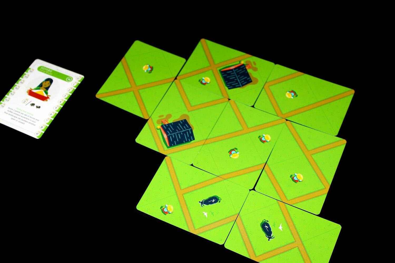 Rizières du Cambodge Zoom