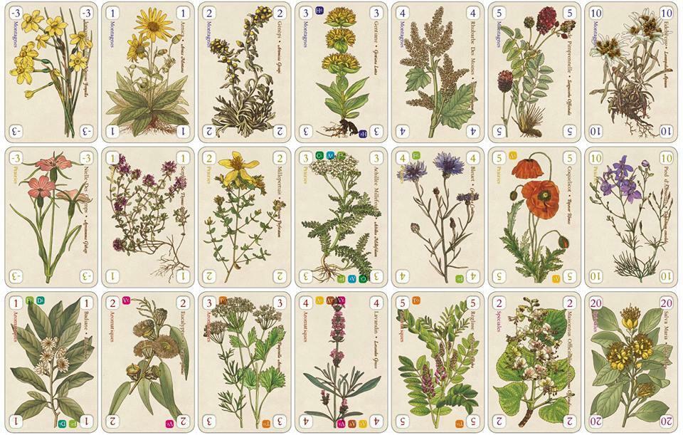 Officinalis Cartes