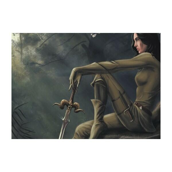 Adventure Party: L'Or des Elfes Artwork