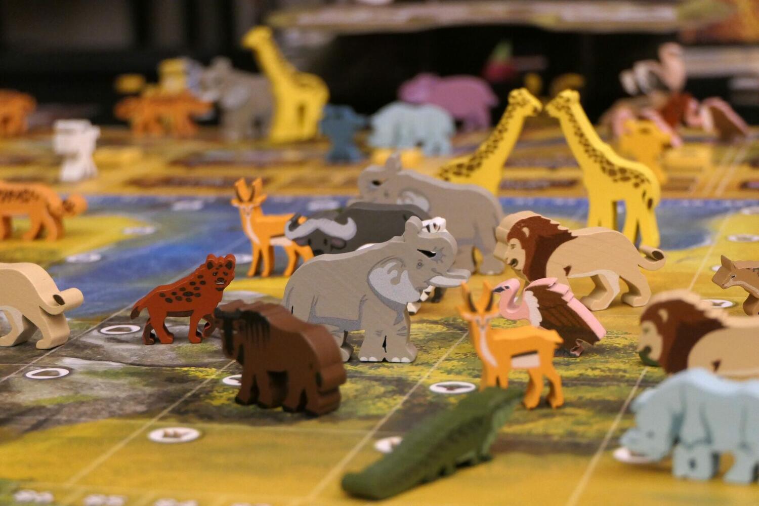 Wild: Serengeti Zoom