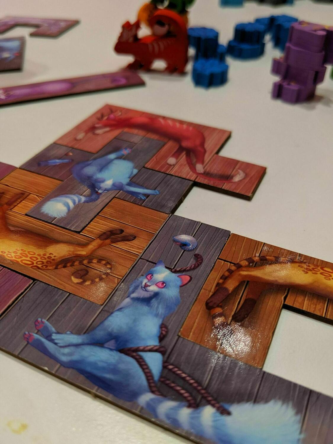 The Isle of Cats Zoom