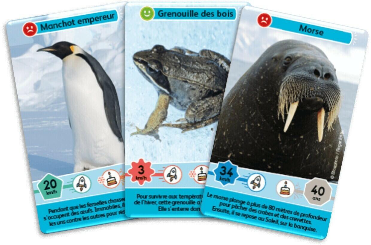 Défis Nature: Junior - Royaumes du Froid Cartes