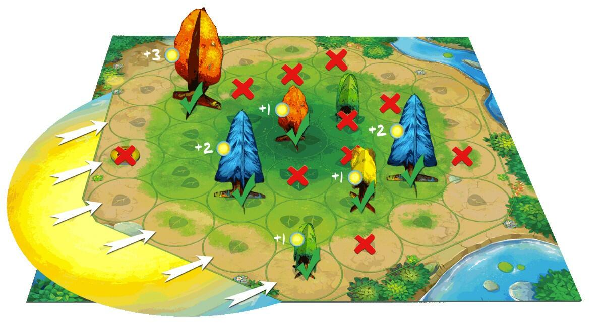 Photosynthesis Plateau