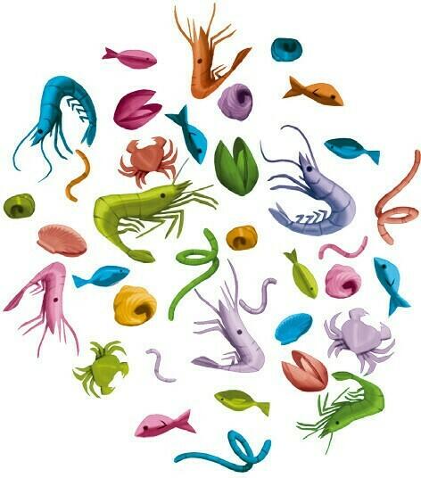 Little Big Fish Eclate