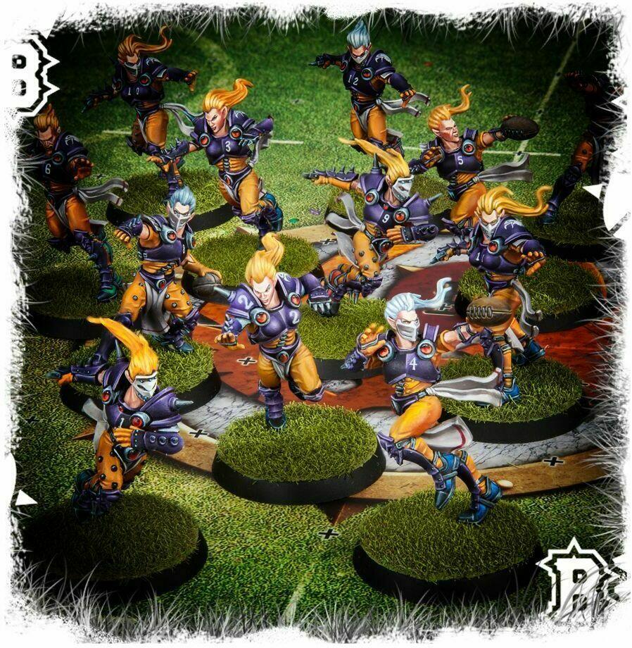 Blood Bowl: The Game of Fantasy Football - The Elfheim Eagles Eclate