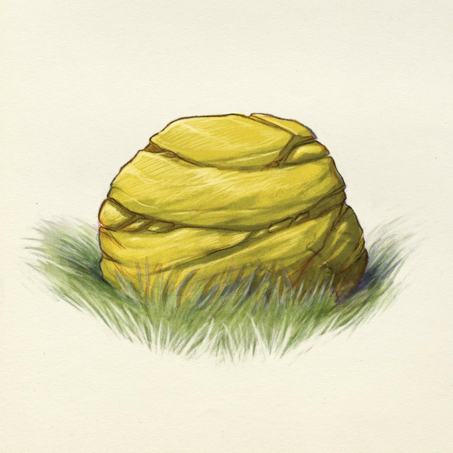 Le Bois des Couadsous Carte