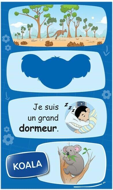 Énigmes ? Junior: Les Animaux Cartes