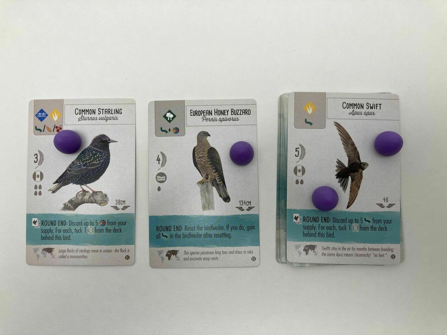 Wingspan: Extension Europe Eclate