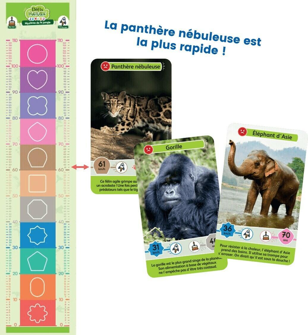Défis Nature: Junior - Mystères de la Jungle Eclate