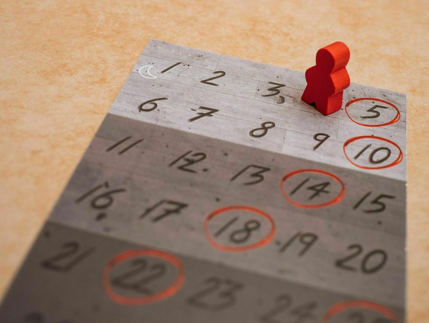 More Bloody Nights Zoom