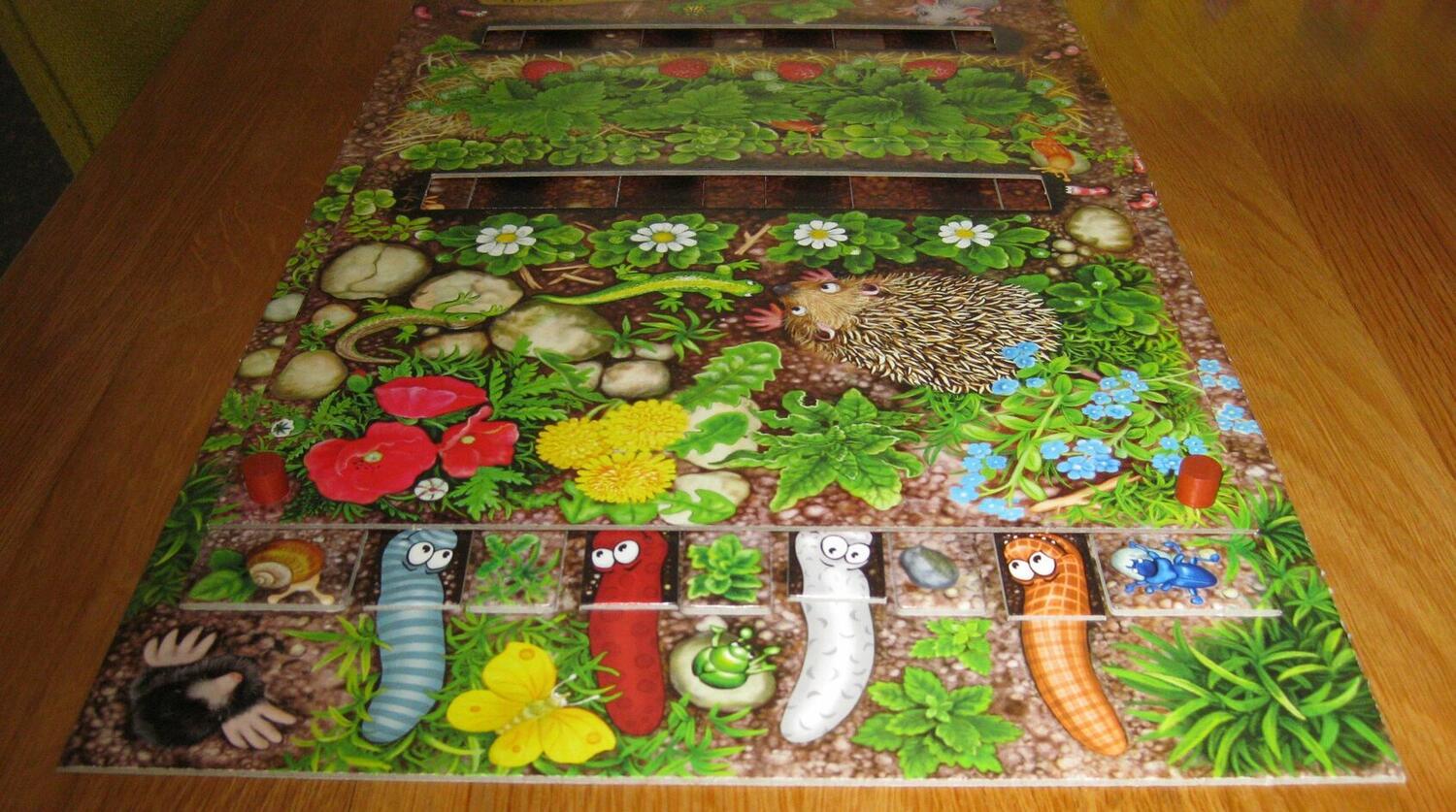 Le Rallye des Vers de Terre Eclate