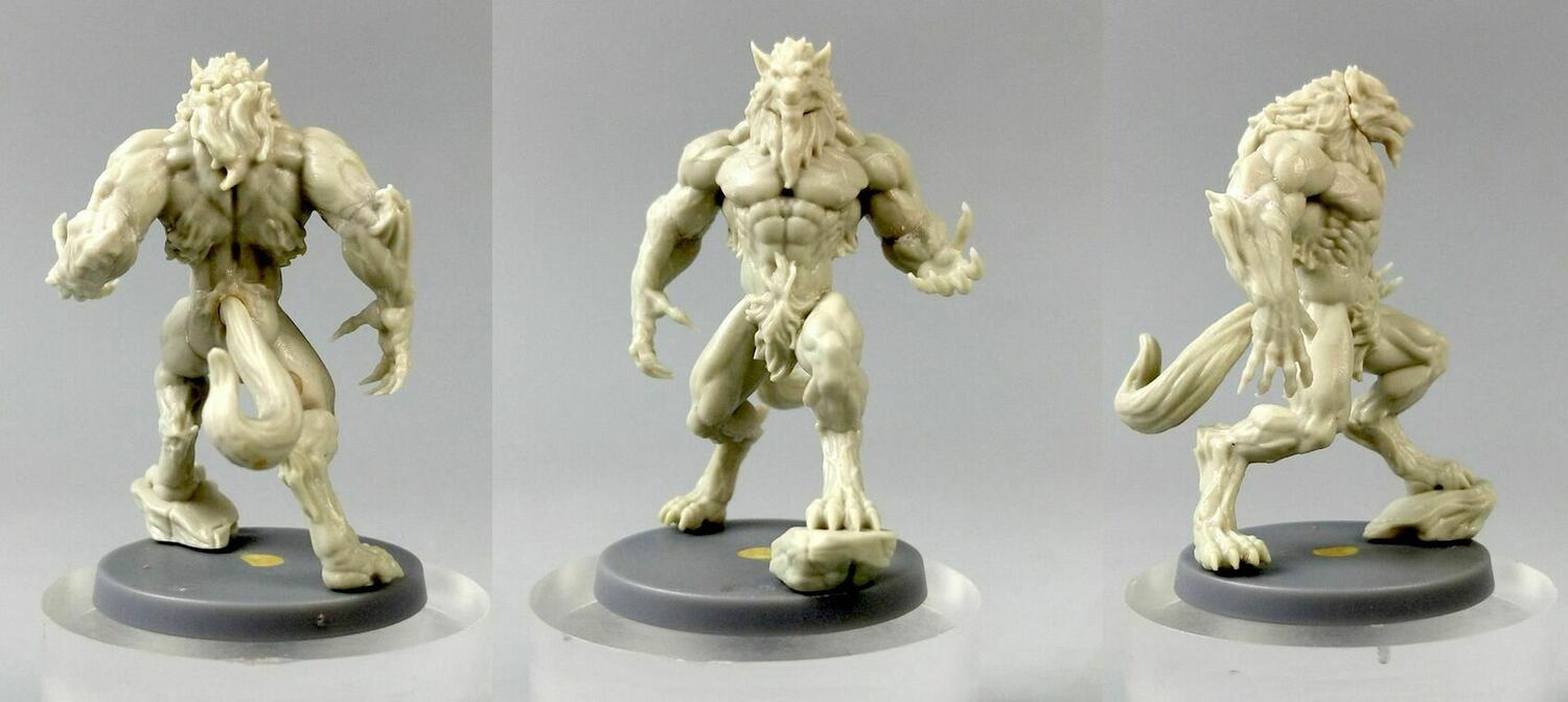 Sword & Sorcery: Les Âmes Immortelles Figurines