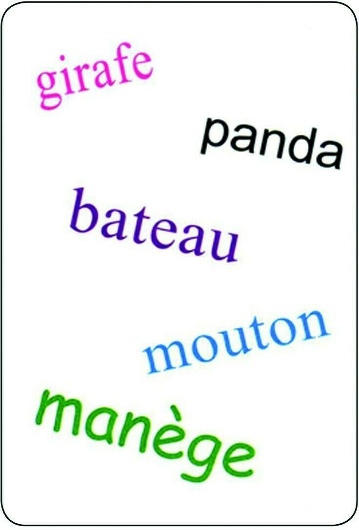 Tam Tam: Safari - CP - Niveau 2 Carte