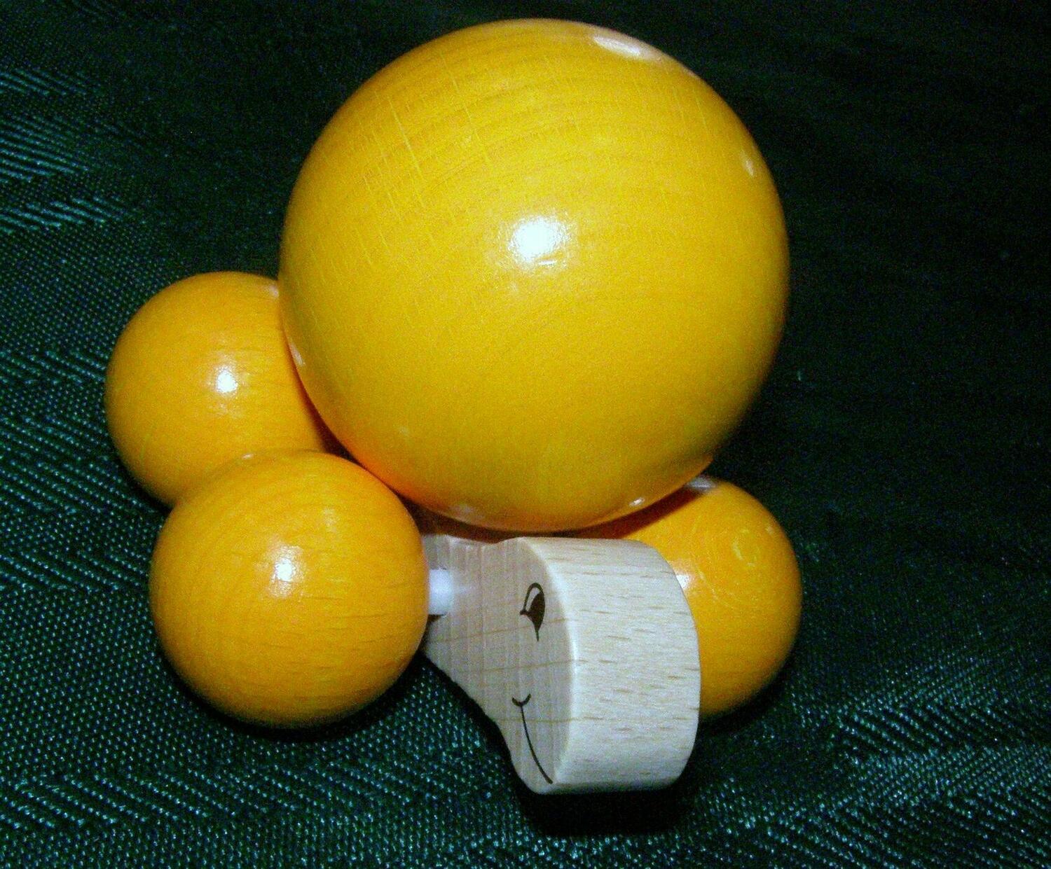 Schildi Strandkröte Zoom