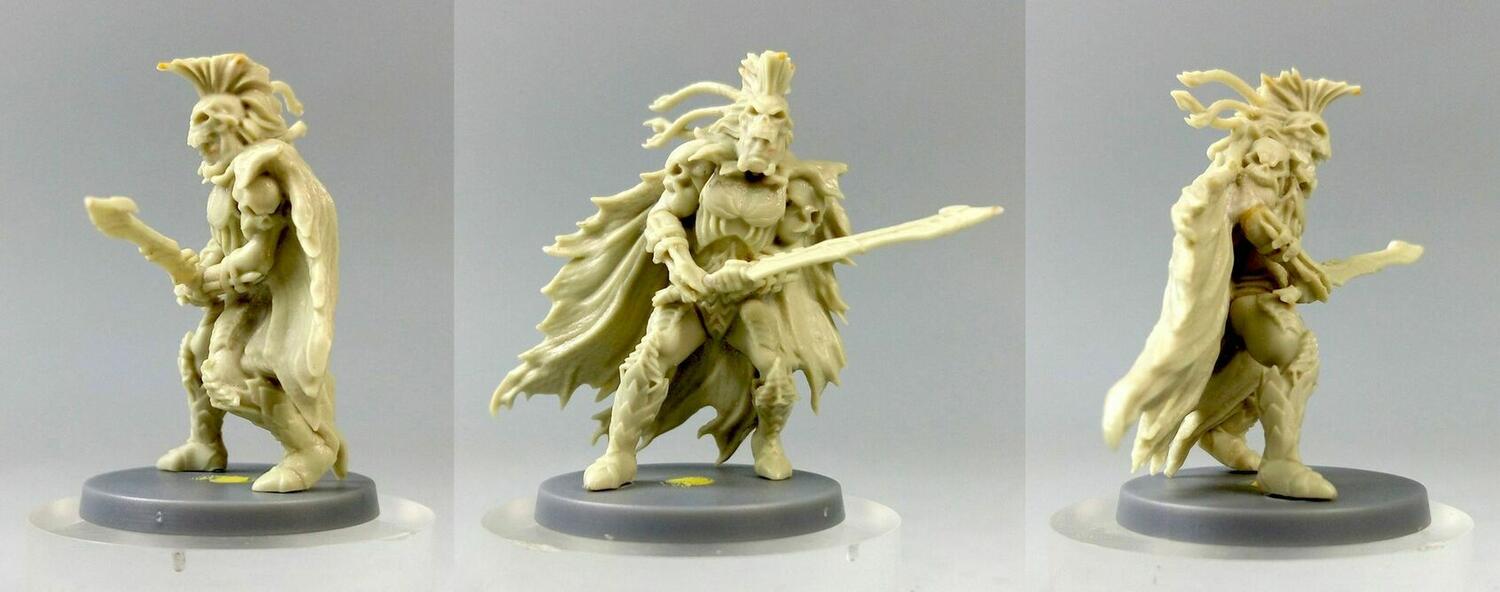 Sword & Sorcery: Les Âmes Immortelles Figurines