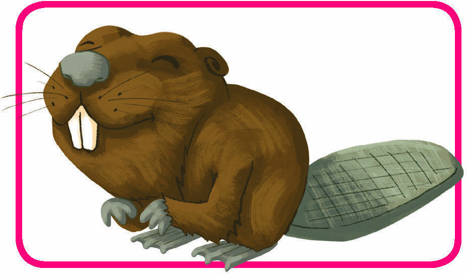 Concept Kids: Animaux Carte