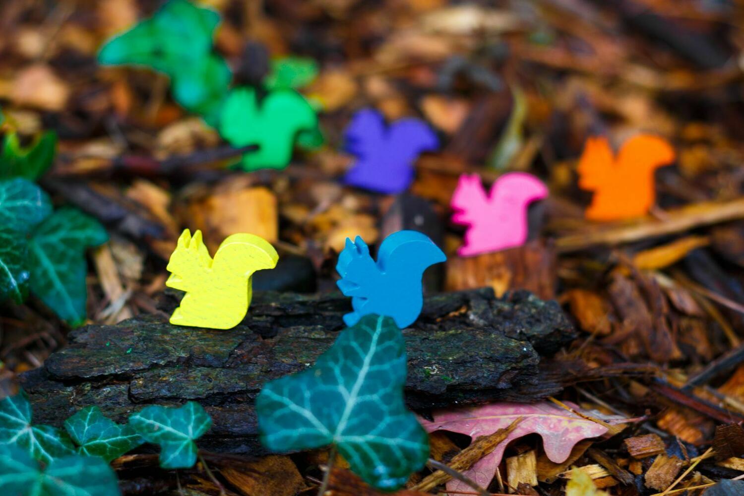 C'est Toute la Question ! Zoom