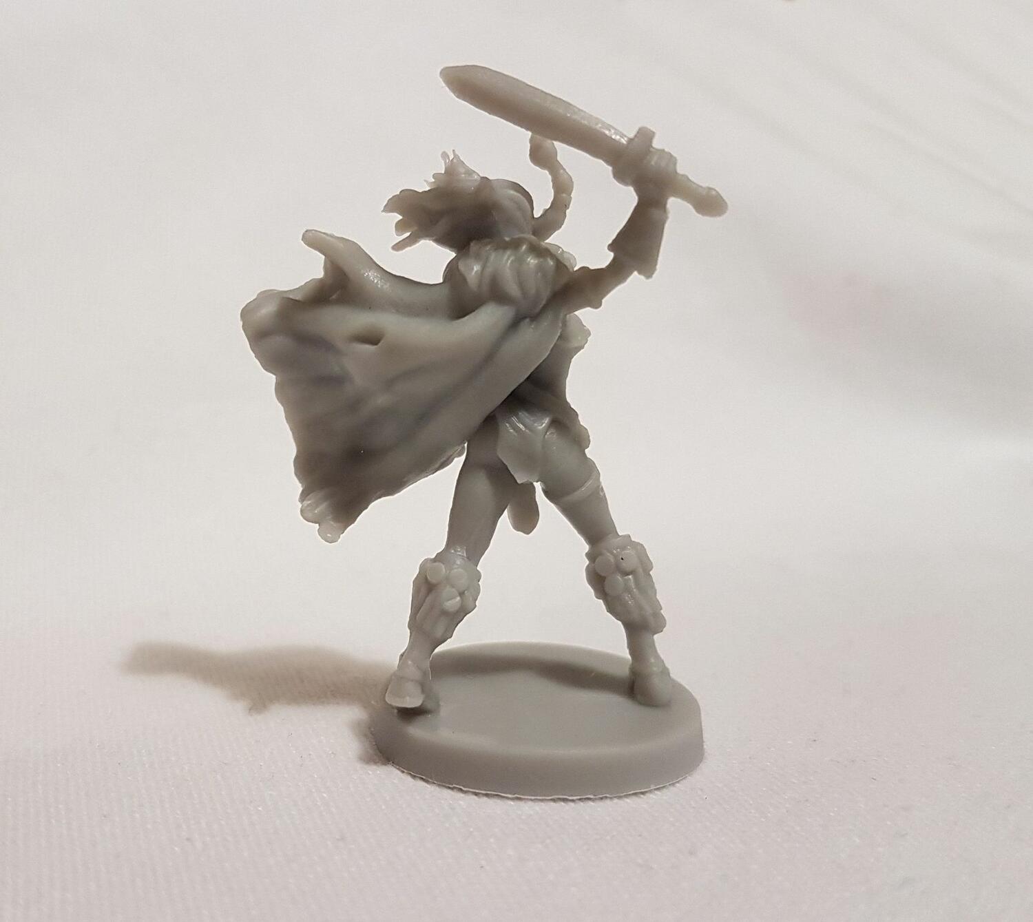 Conan: Valkyrie Vanir Figurine