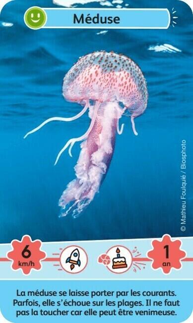 Défis Nature: Junior - Merveilles de la Mer Carte