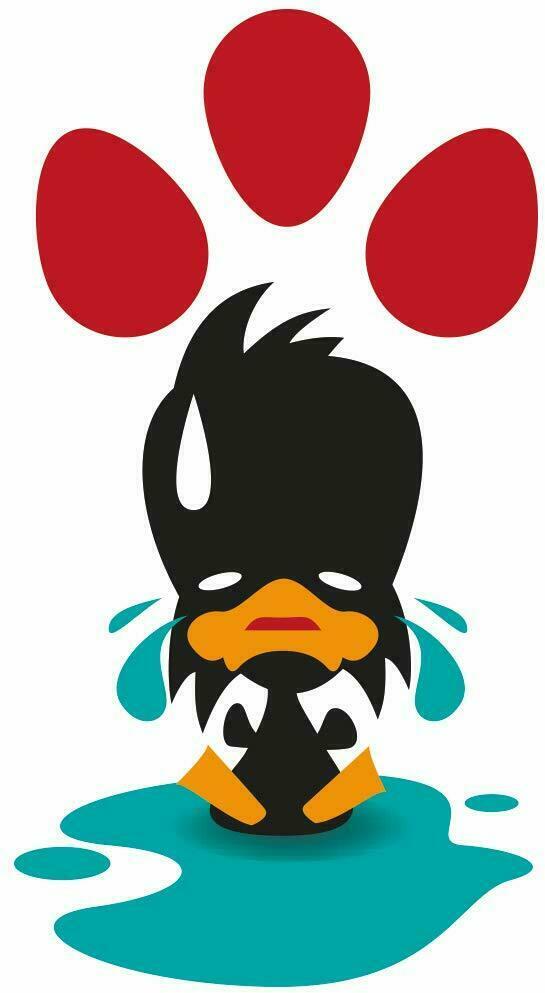 3 Oeufs sur la Tête d’Un Canard Artwork