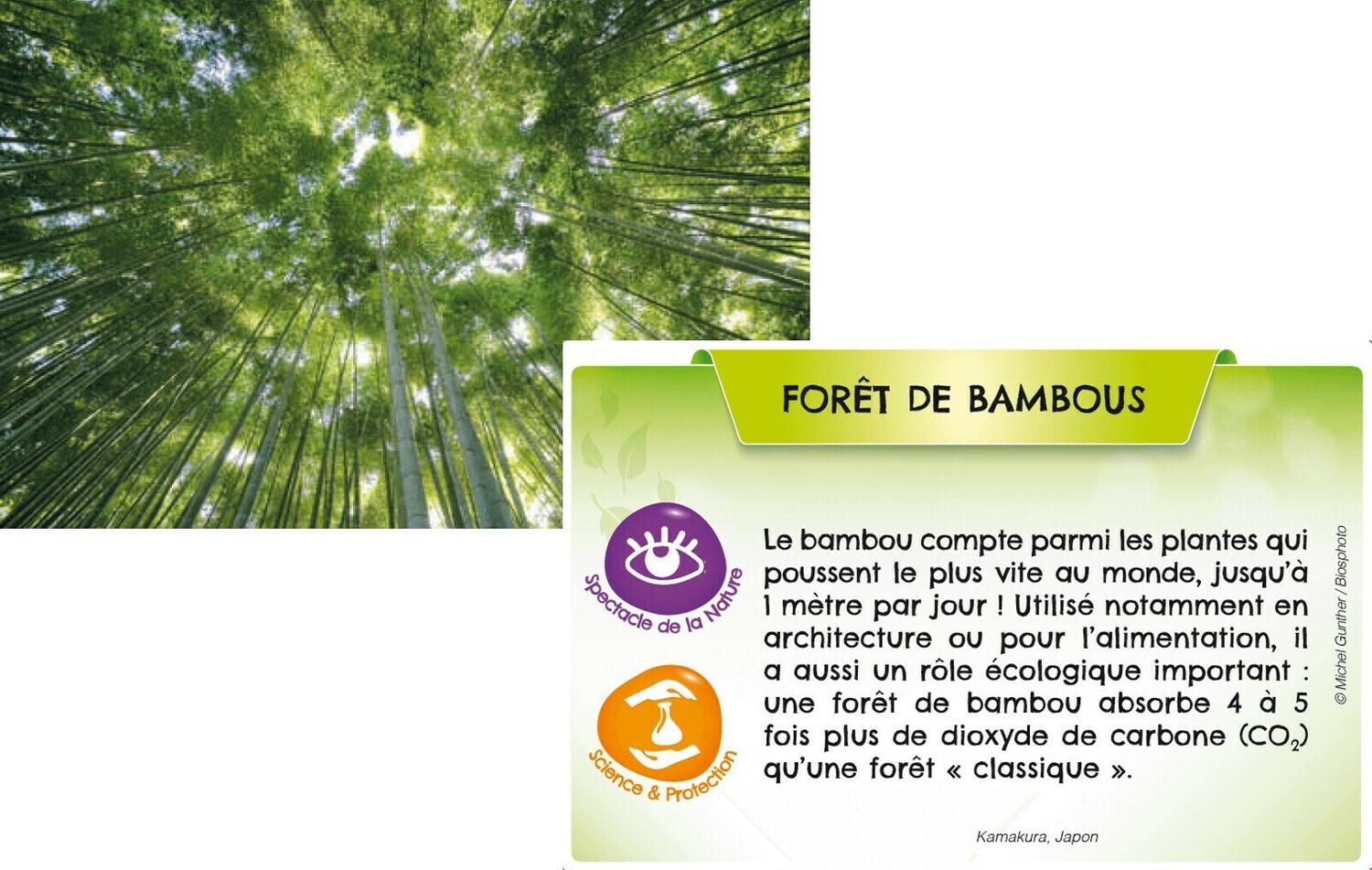 Bioviva ! Planète: Jungles et Forêts Eclate