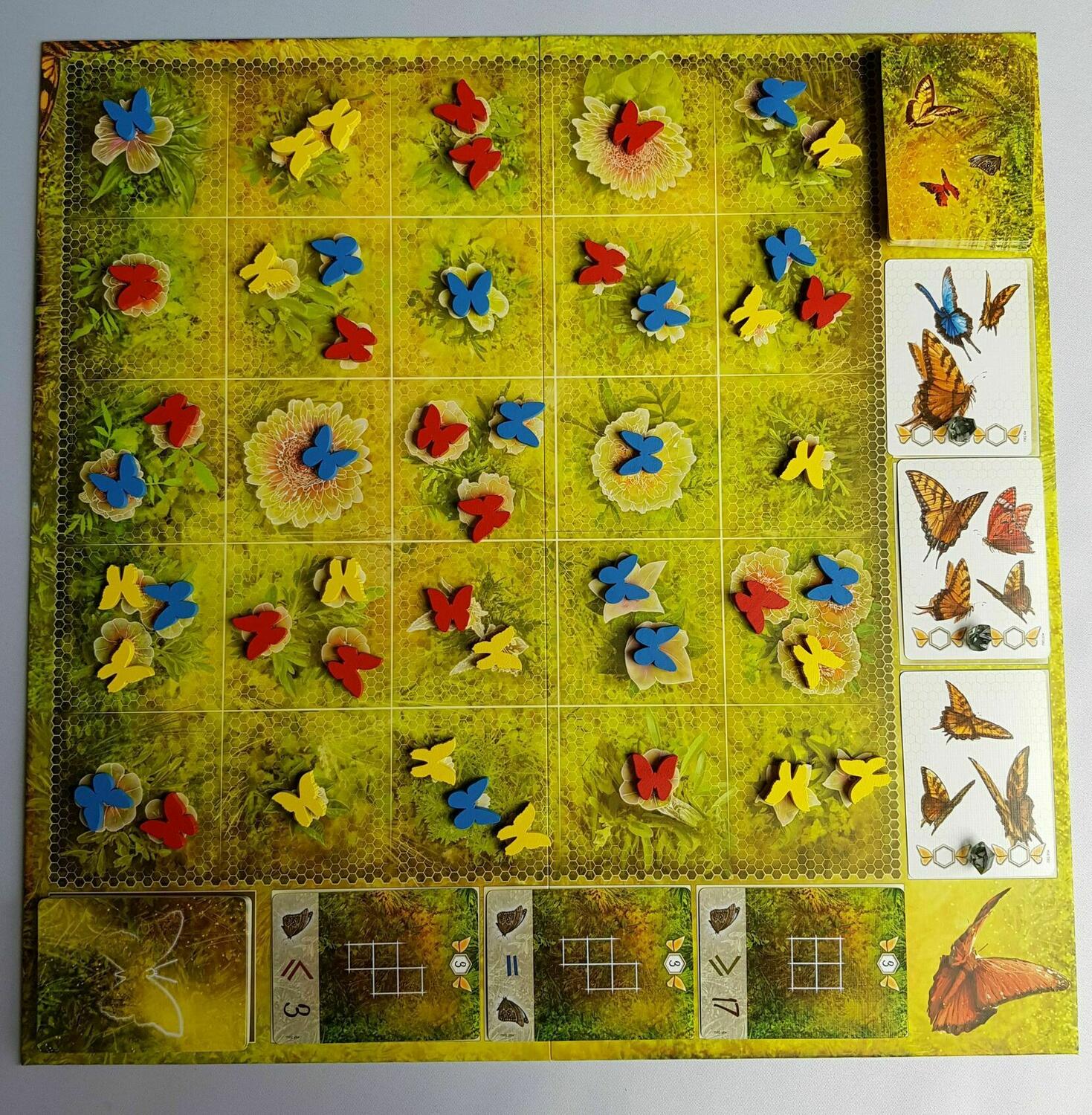 Dust in the Wings Plateau