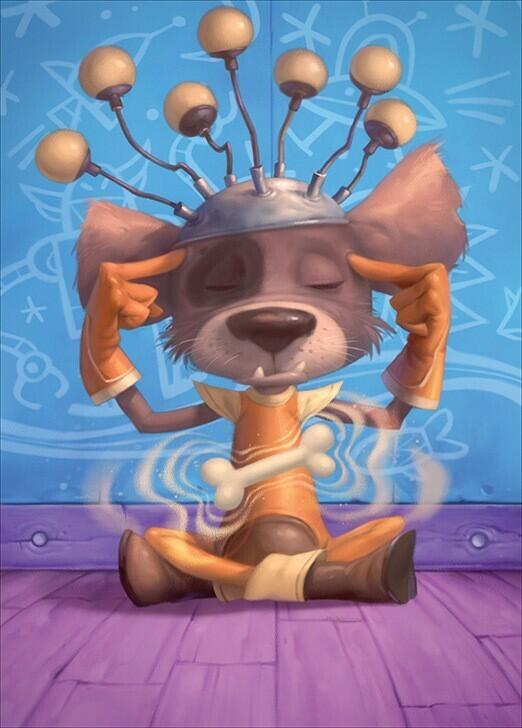 Super Peluches Carte