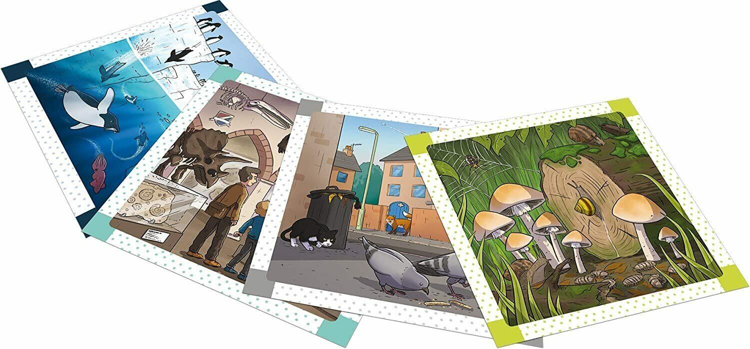 BrainBox: Trouve les Différences - Dans la Nature Cartes