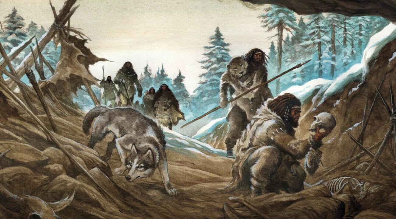 Würm: Le Jeu de Rôle dans le Préhistoire Artwork