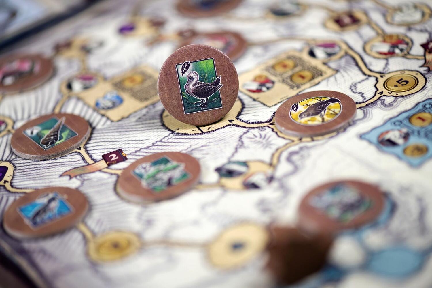 Darwin's Journey Zoom