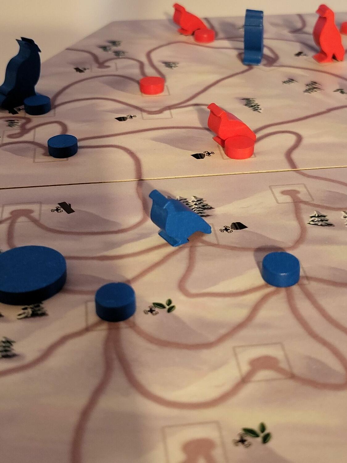 Clash of Galliformes Zoom