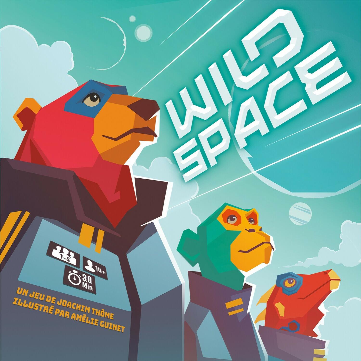 Wild Space Cover